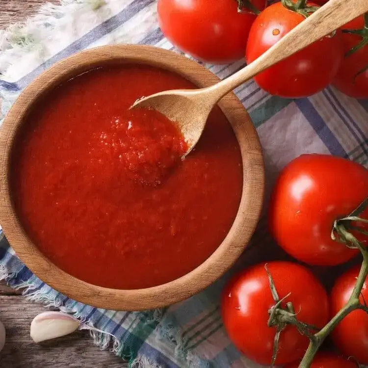 Bio Orto Società Cooperativa Agricola - Wholesale Pasta Sauce - Organic tomato and basil sauce 185gr1