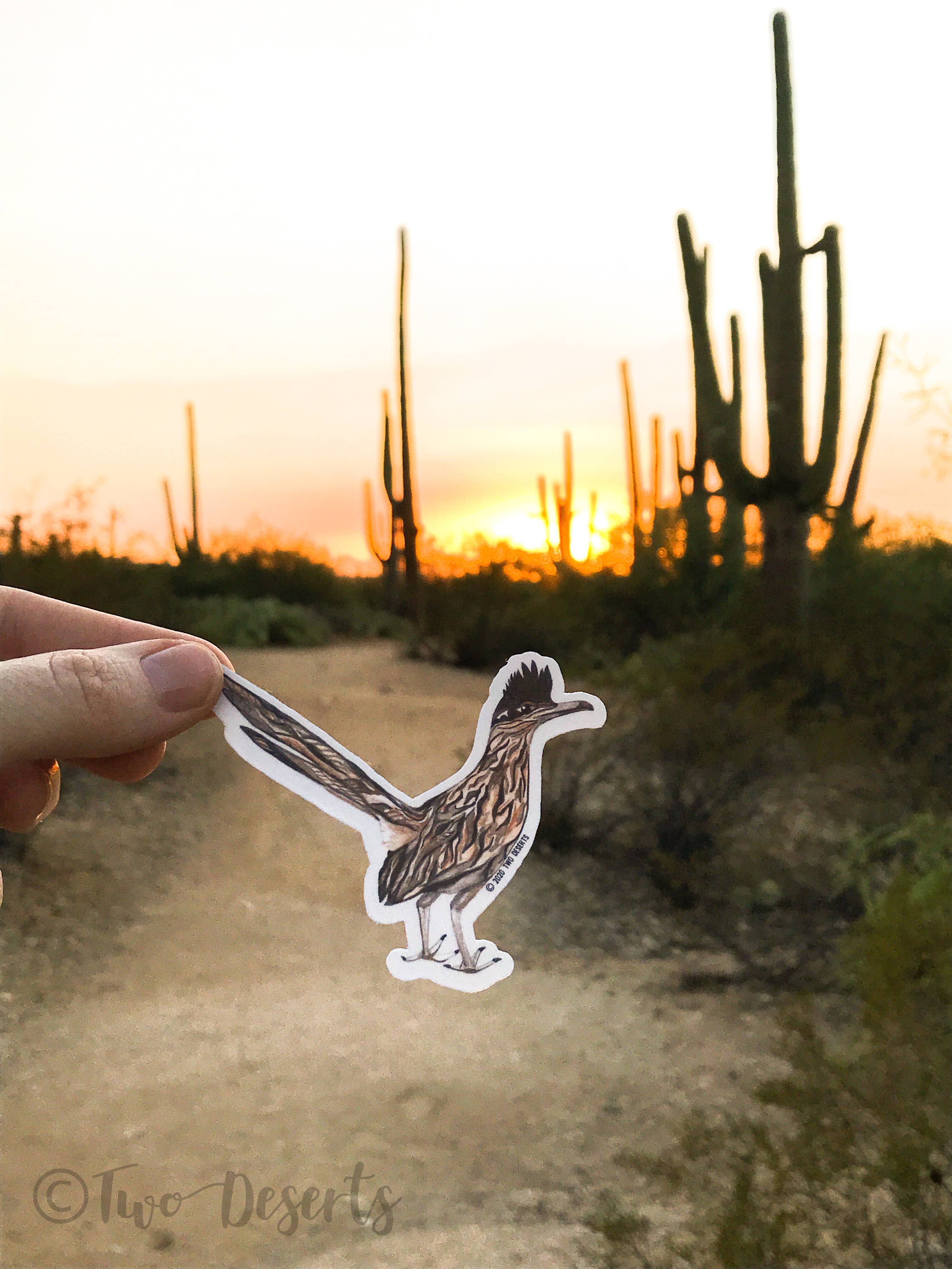 Two Deserts - Wholesale Sticker - Roadrunner Vinyl Sticker3