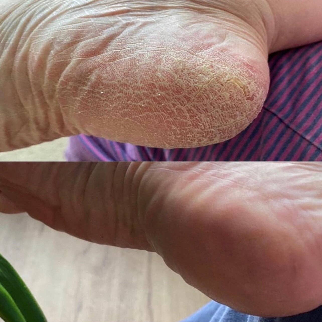 Sustain Yourself - Wholesale Solid Lotion - Lotion Bar3