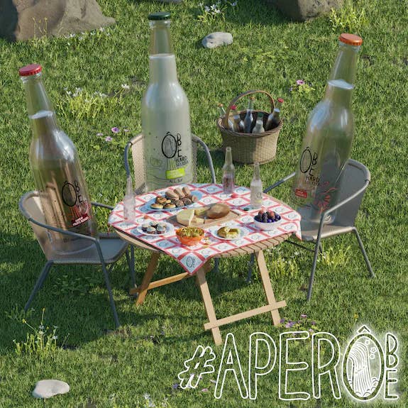 Ôbe Hard Seltzer - Wholesale Soda/Carbonated Drink - ÔBE HARD SELTZER Lime Ginger Flavor 33cL1