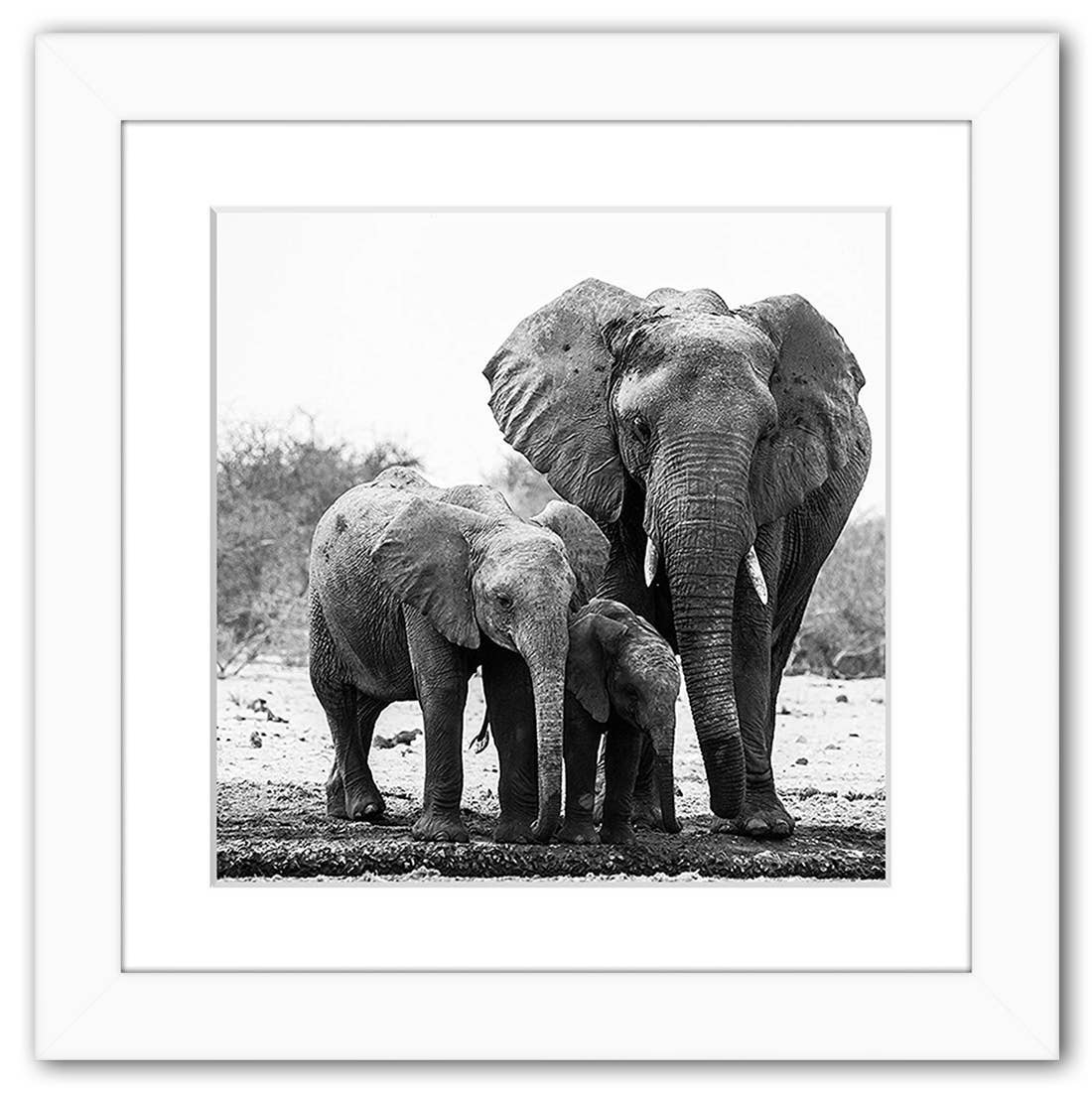 Americanflat - Wholesale Picture Frame - Americanflat Picture Frame with Mat Standard Molding189