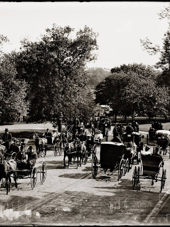 Vagntur i parken för wholesale av Print Collection