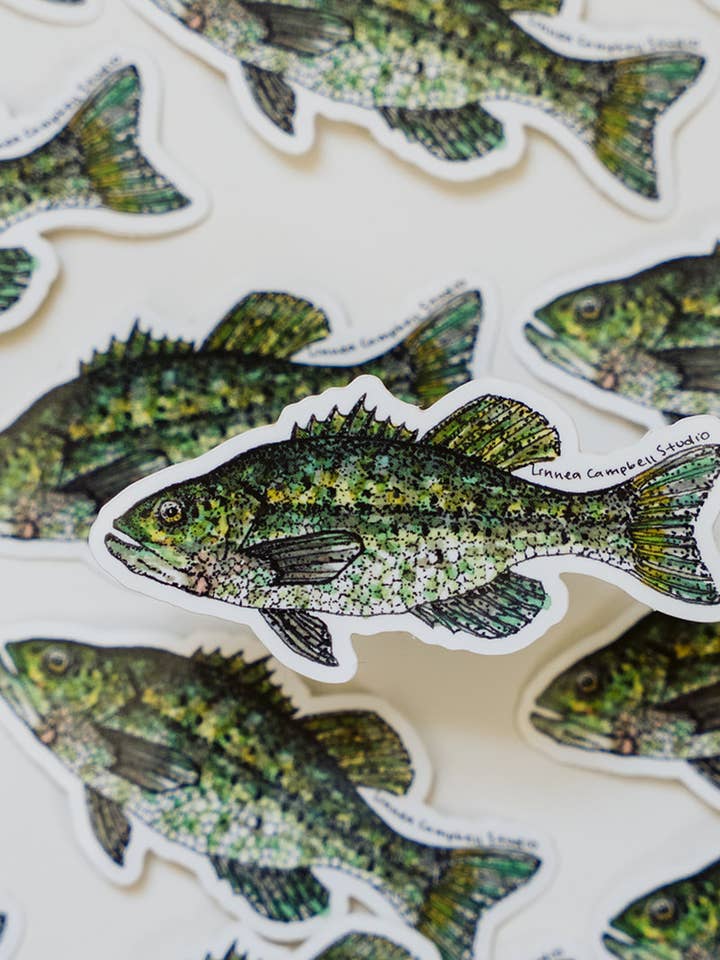 Fish Sticker for wholesale by Linnea Campbell Studio