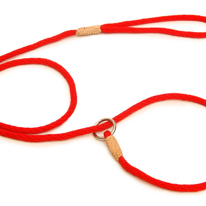 Alvalley - Wholesale Pet Leash - Dog - Nylon Slip Leads50