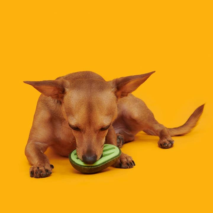 Pet Palette Distribution - Wholesale Pet Chew Toy - Dog - BARK Avocadoggo Super Chewer Dog Toy3
