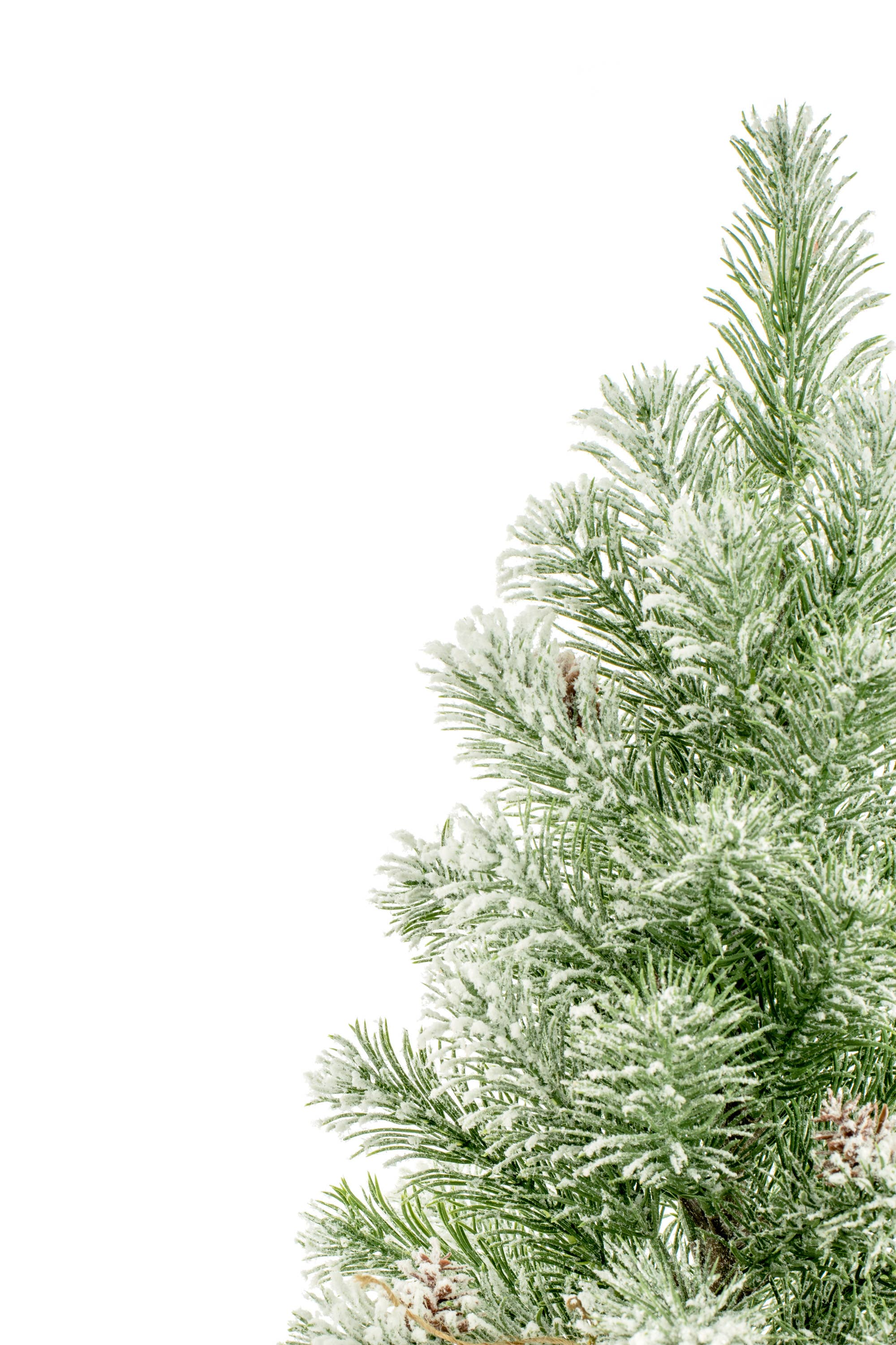 Starlight Collection – Engroshandel Kunstigt juletræ – Grøn frosted bordtræ med burlap træbase1