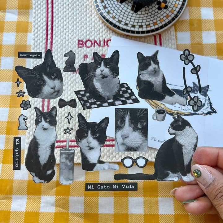 The Wednesday Co - Wholesale Sticker - Mi Gato Mi Vida Deco Sticker Set