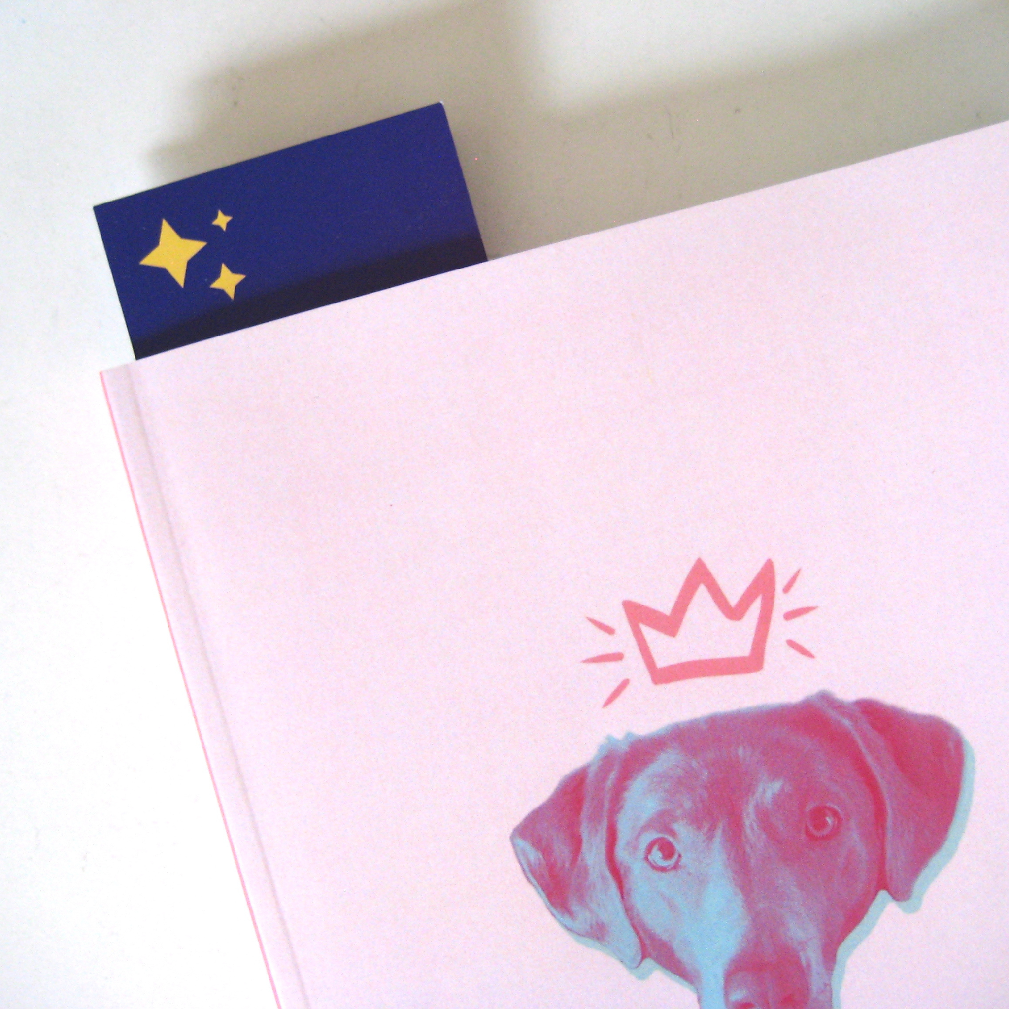 SUPERNOVA & CO - Venta al por mayor Marcapáginas - Marc Page 😎 - Marcador de libros humorístico1