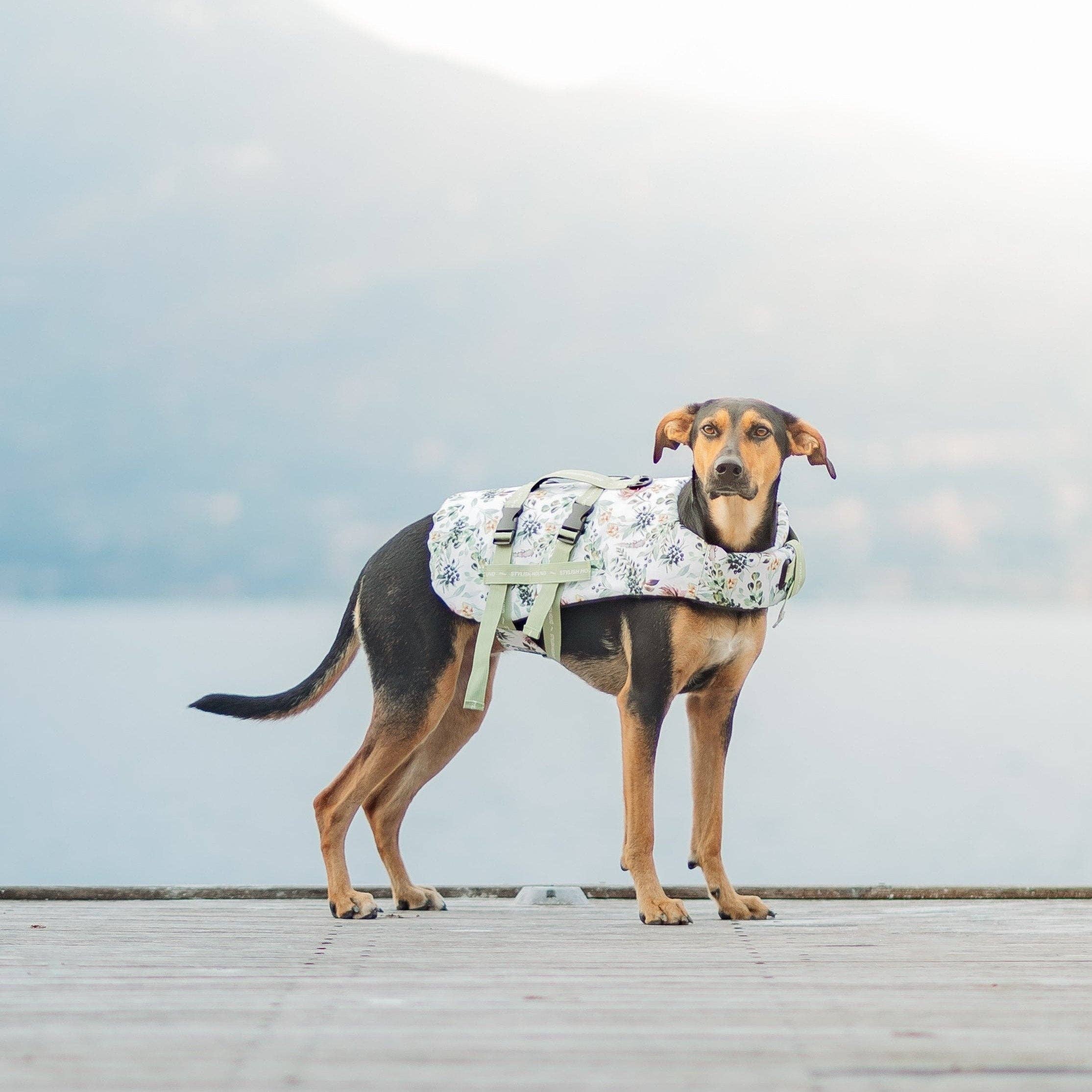 Stylish Hound – Großhandel Haustierjacke – Hund – Evergreen Schwimmweste für Hunde15