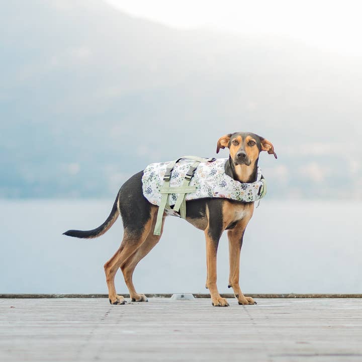 Stylish Hound – Großhandel Haustierjacke – Hund – Evergreen Schwimmweste für Hunde15