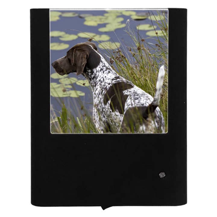 Nightlight Studio - Wholesale Night Light - German Shorthaired Pointer