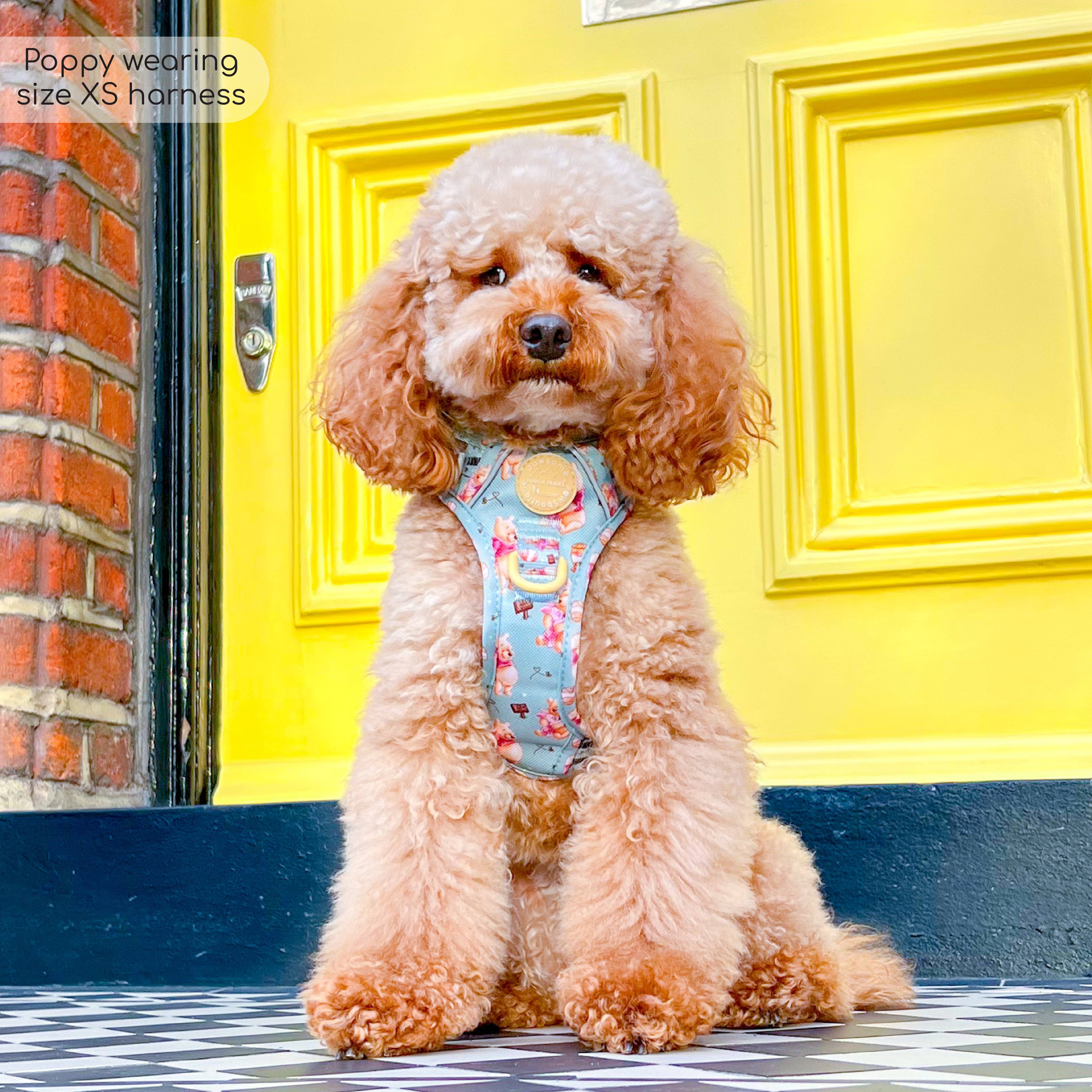 Pawsome Paws – Großhandel Haustiergeschirr – Hund – Disney© Tough Trails™ Geschirr – Winnie Puuh21