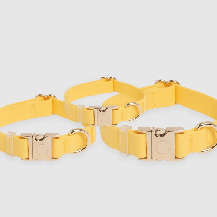 SUNNY TAILS - Vente Collier – chien - Collier de chien étanche jaune pissenlit4