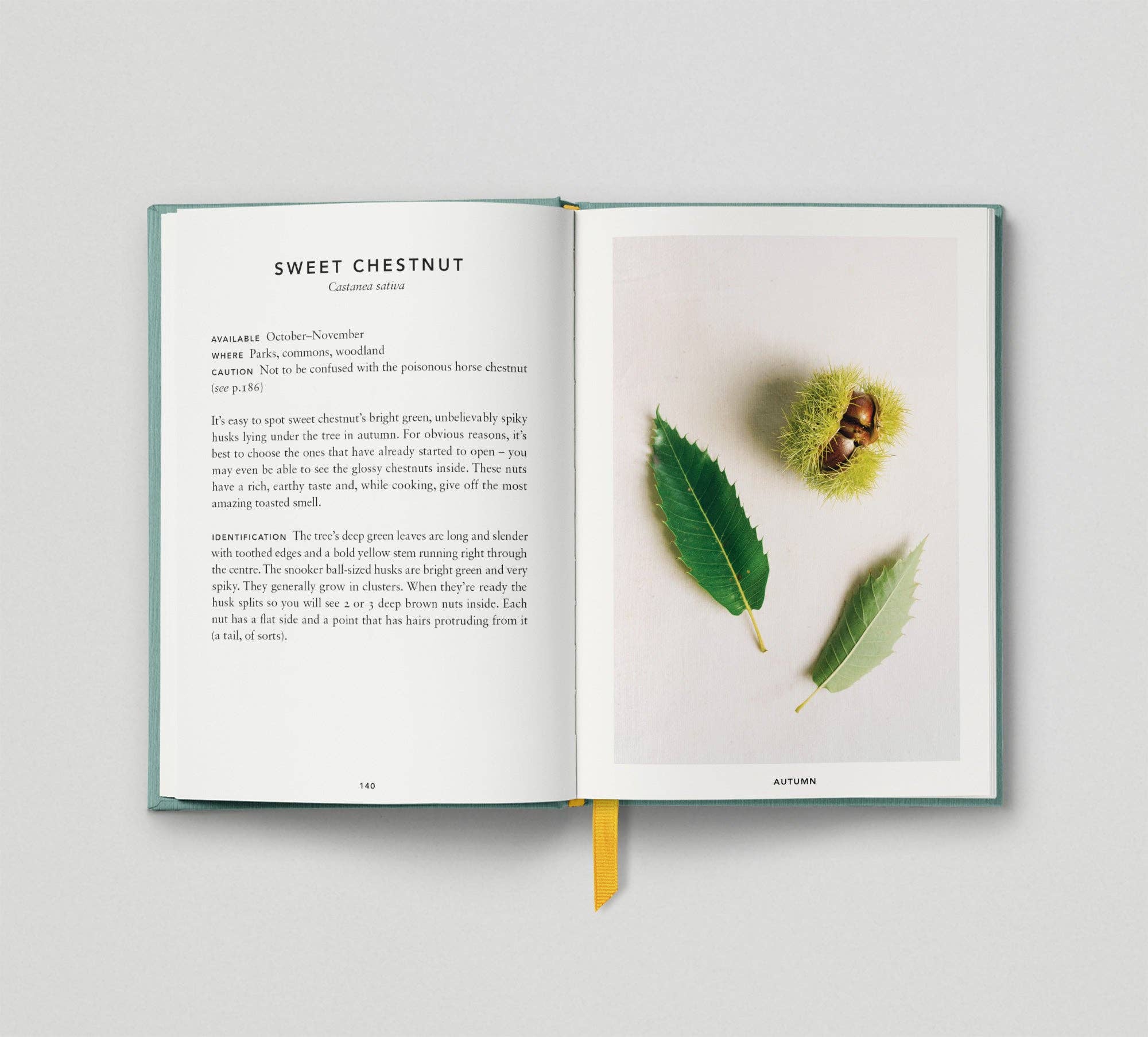 Hoxton Mini Press – wholesale Cookbooks and food – The Urban Forager5