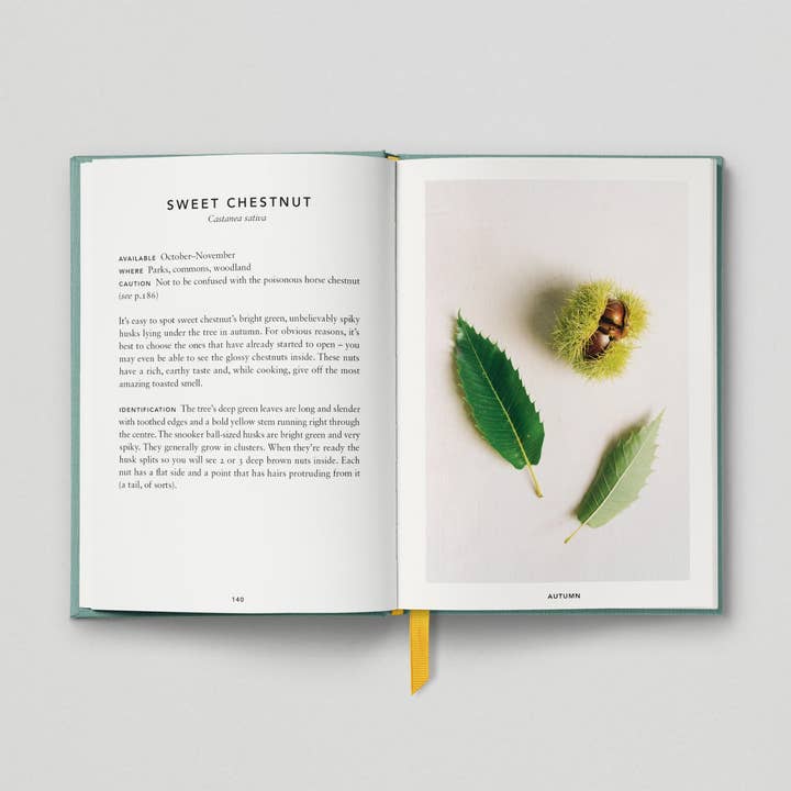 Hoxton Mini Press – wholesale Cookbooks and food – The Urban Forager5