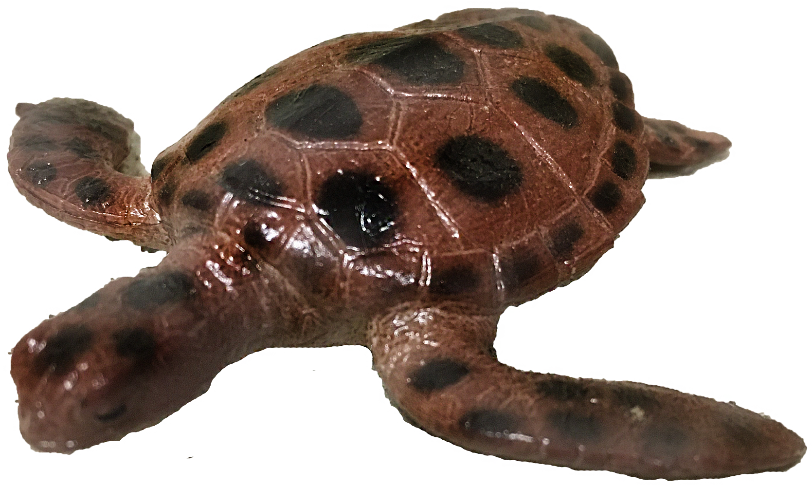 Texas Toy Distribution – wholesale Figurine toy – Kids – Zoo and Sea Animal 3" Figurine Toy Assortment Collection Set16