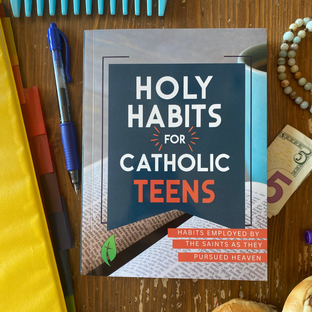 Catholic Sprouts LLC - Wholesale Religion Book - Holy Habits for Catholic Teens8