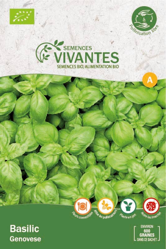 Semences Vivantes - Wholesale Plant Seeds - Organic Genovese basil - Bag of 600 seeds0