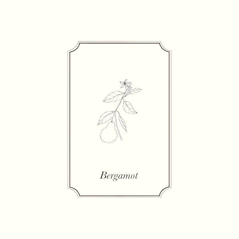 Napiers - Wholesale Essential Oil - Napiers Bergamot Essential Oil1