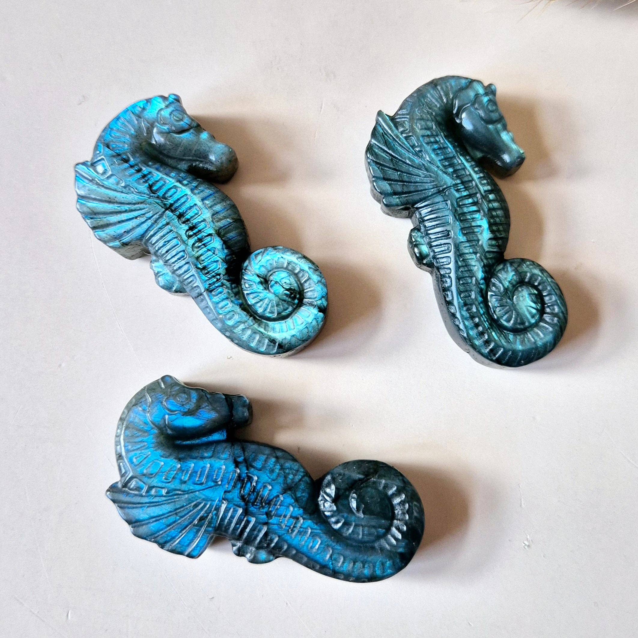 Moonlight Gemstones - Wholesale Spiritual Stone/Crystal - Labradorite Seahorse – Gemstone Carving (5cm)