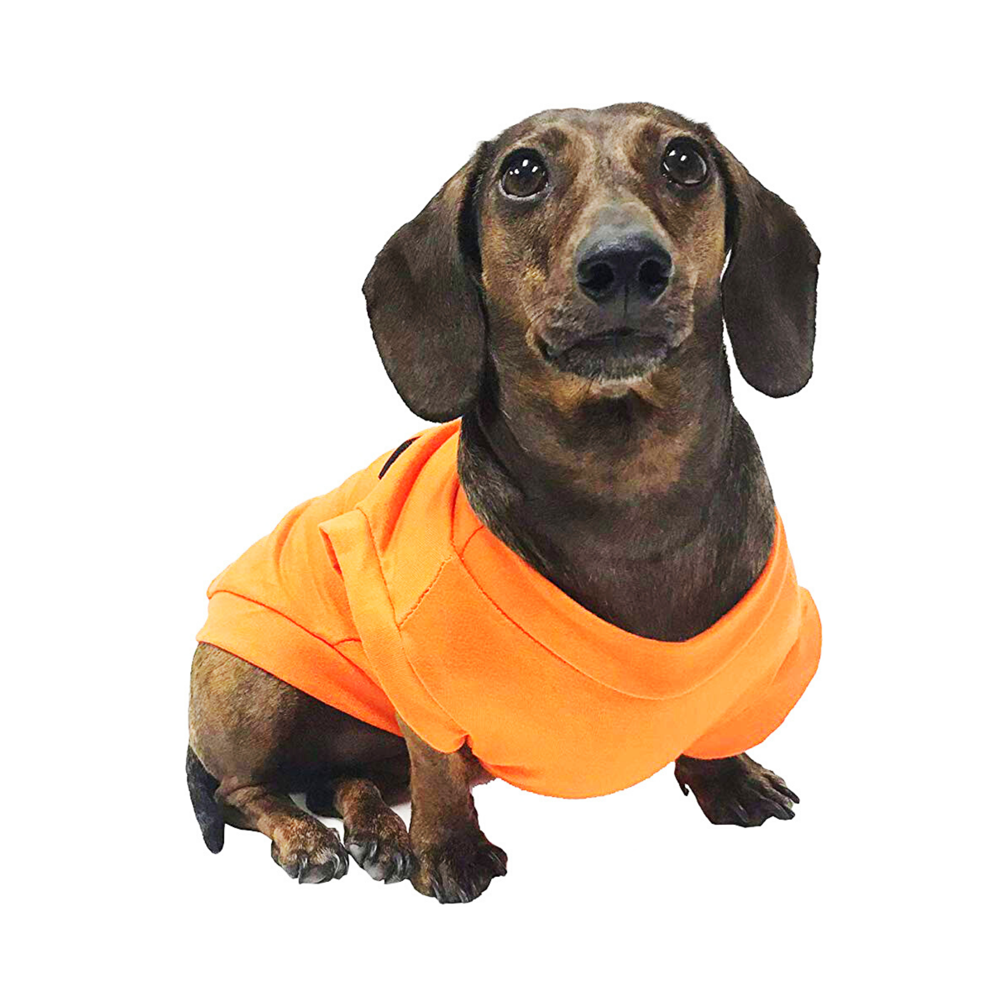 Midlee Designs - Wholesale Pet Costume - Dog - Midlee Pumpkin Face Dog Shirt Costume2