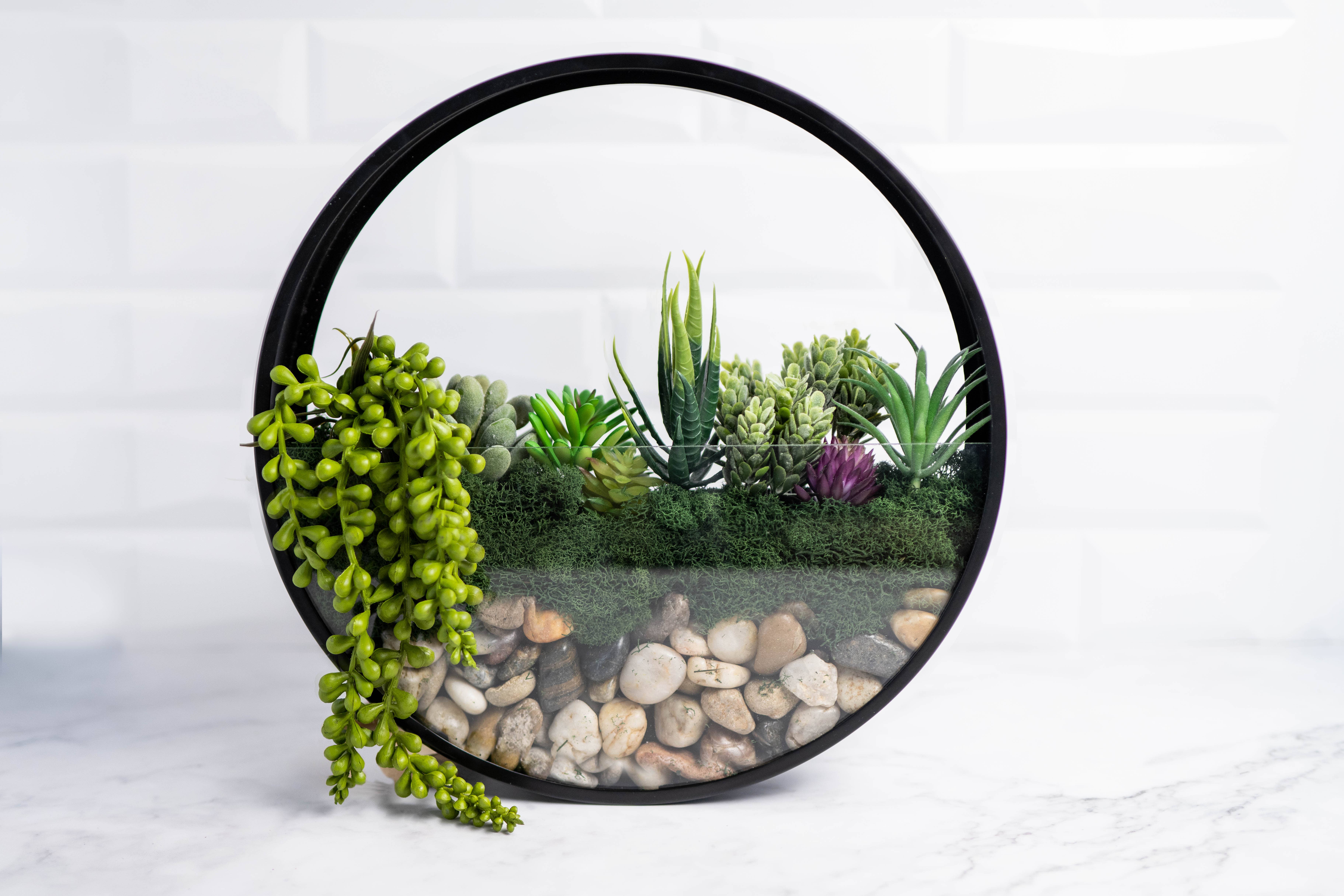 Adults & Crafts - Wholesale DIY Craft Kit - Wall Terrarium Craft Kit 2