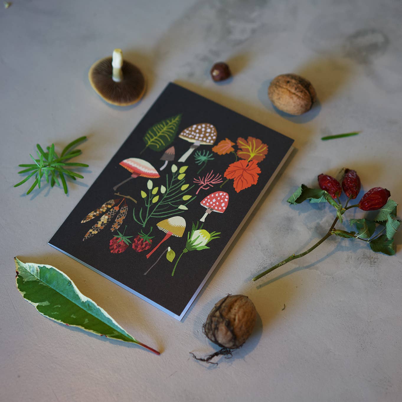 Brie Harrison Ltd - Wholesale Everyday Greeting Card - Mushrooms & Moss Greetings Card 3