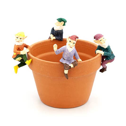 Suspension de pot de plante Gnome pour la vente par Golden State Succulents