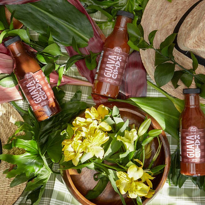 Poi Dog - Wholesale BBQ sauce - Guava Katsu (12 oz)2