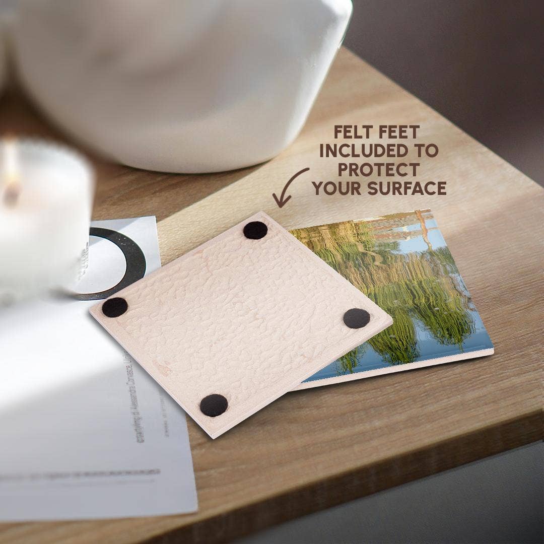 3dRose - Wholesale Coasters - 3dRose, Image of Pony Tail Palms Reflect In Water, Coaster3