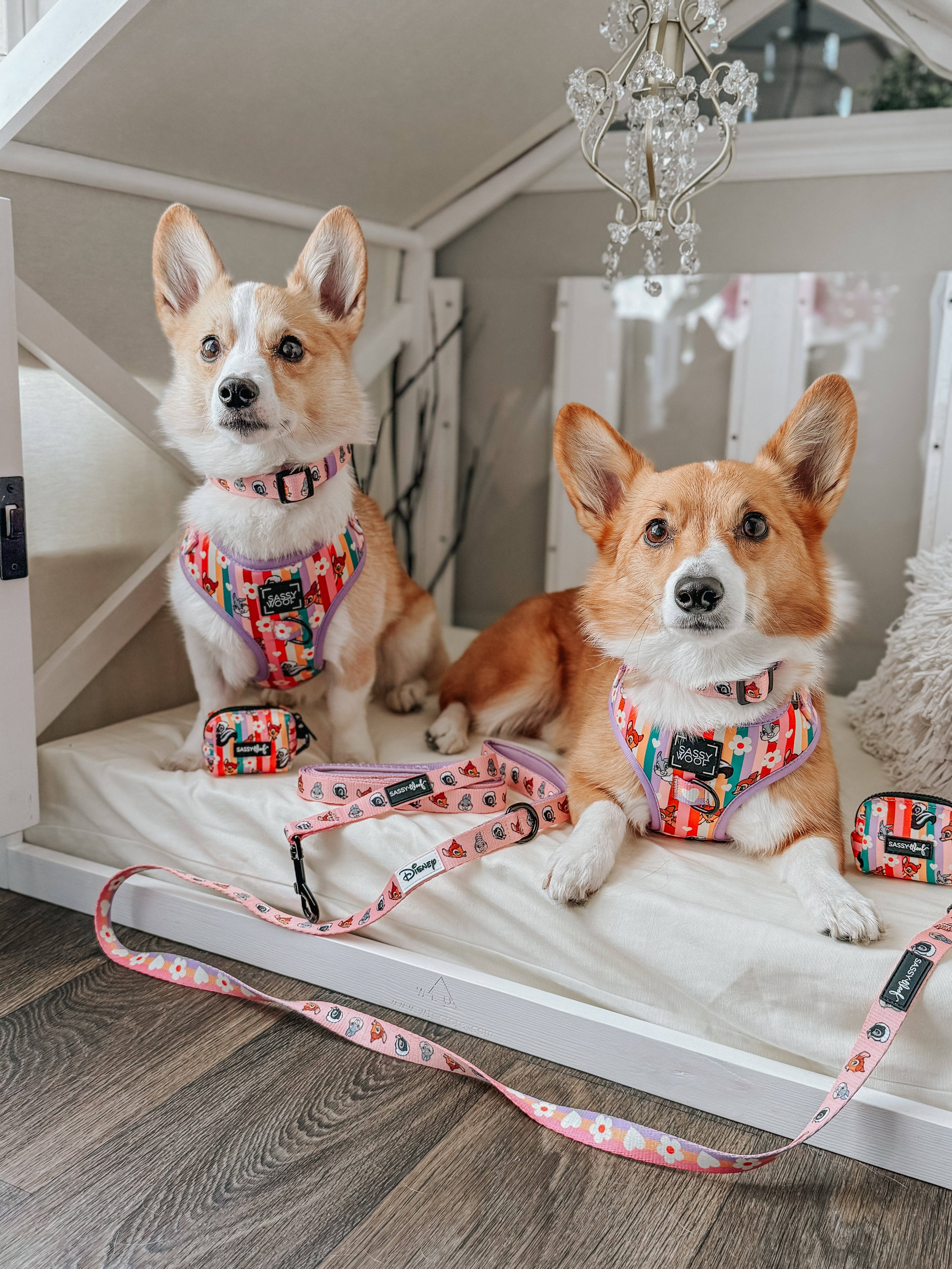 SASSY WOOF - Wholesale Pet Harness - Dog - Dog Adjustable Harness - Disney's Bambi4