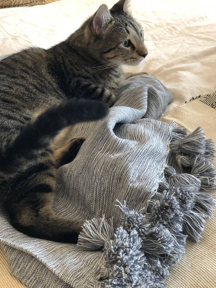 Couvre-lit léger en laine Chine pour la vente par Scents and Feel