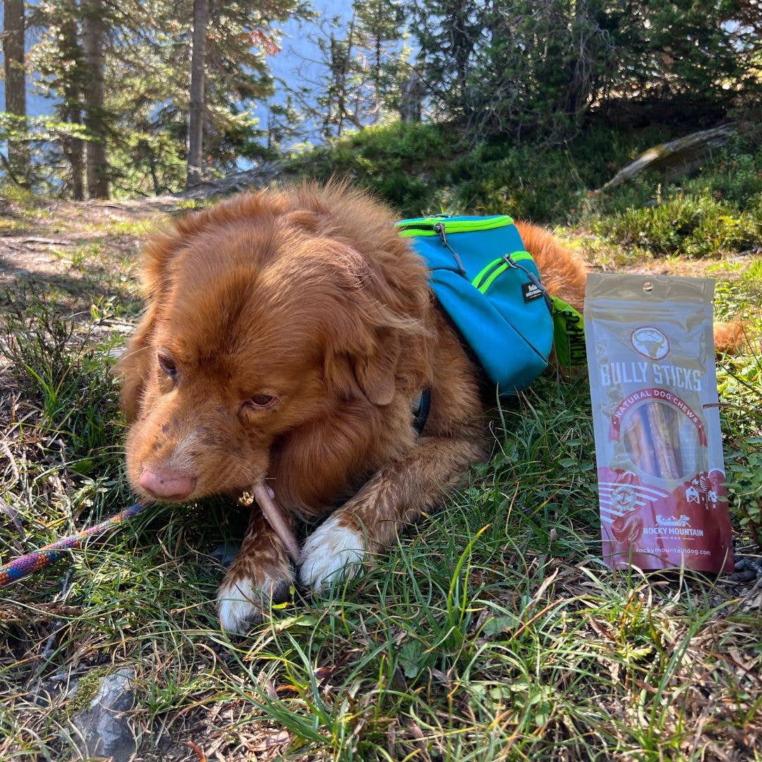 Rocky Mountain Dog - Wholesale Pet Treats - Dog - Six Inch Standard Bully Sticks (5 pack) (Case of 12)3