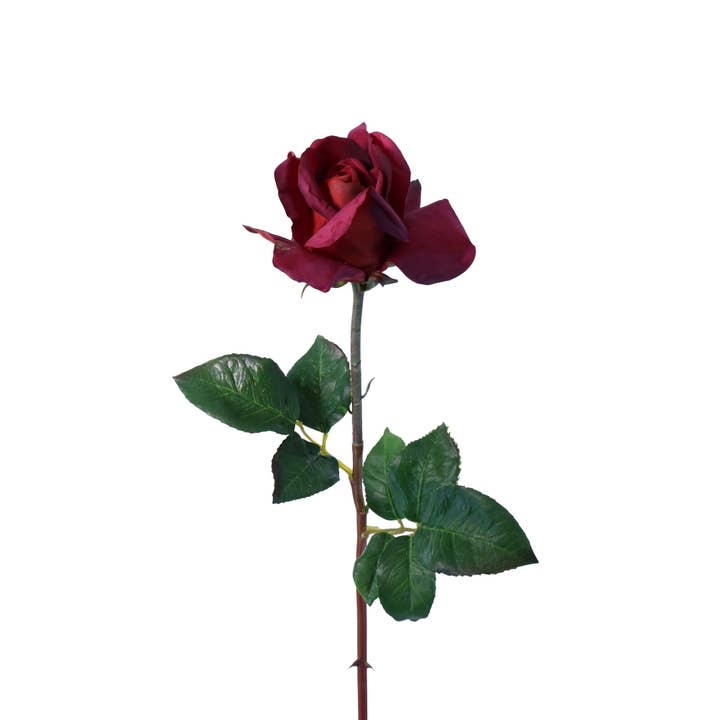 FN10001 HYBRID TEA ROSE SPRAY(NAT),24in-12P for wholesale by Green Import Limited