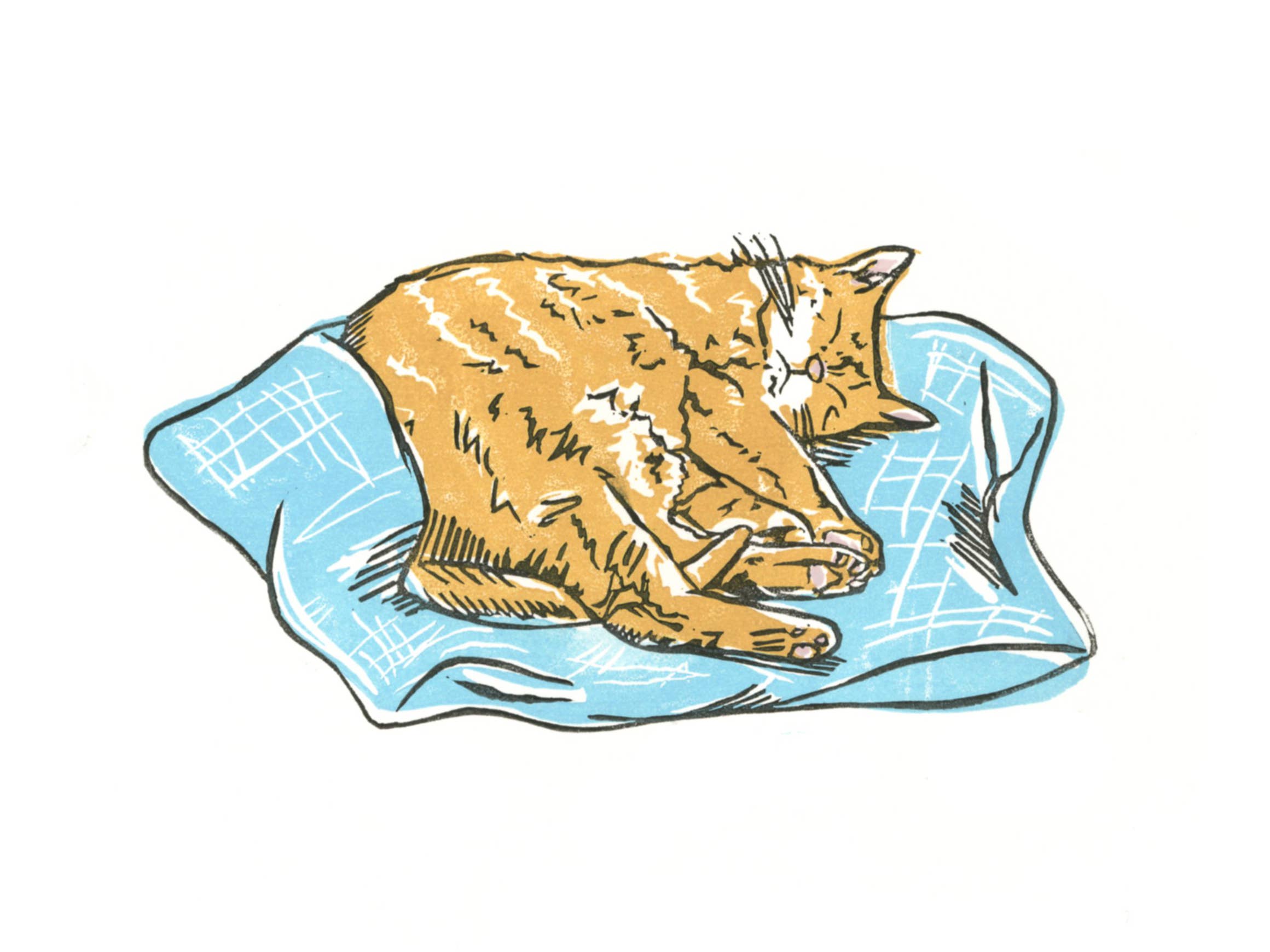 Elyana Smith Prints - Wholesale Art Print - Kitty Print2