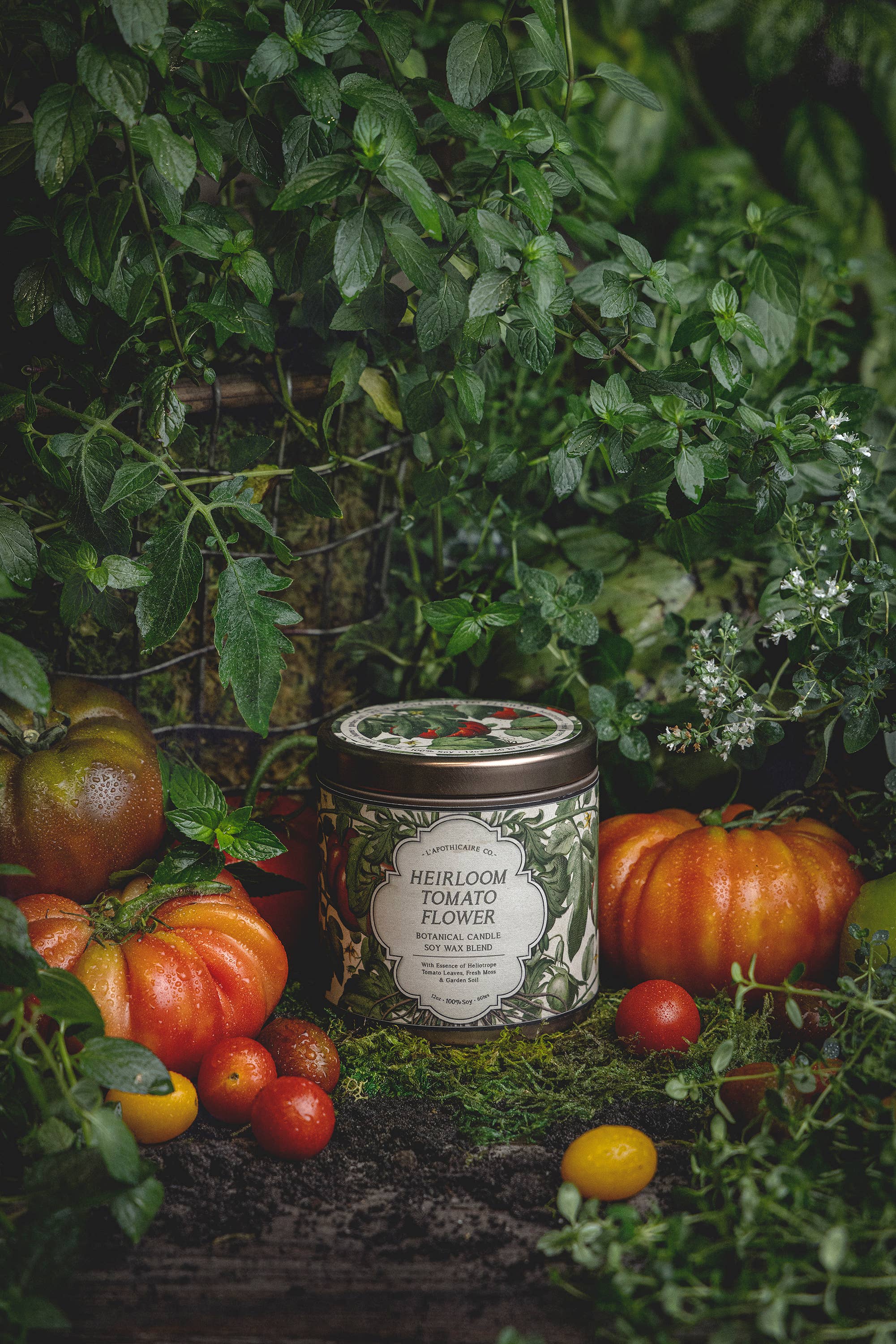 L'apothicaire Co. - Wholesale Jar/Filled Candle - JARDIN | Heirloom Tomato Flower | Candle1
