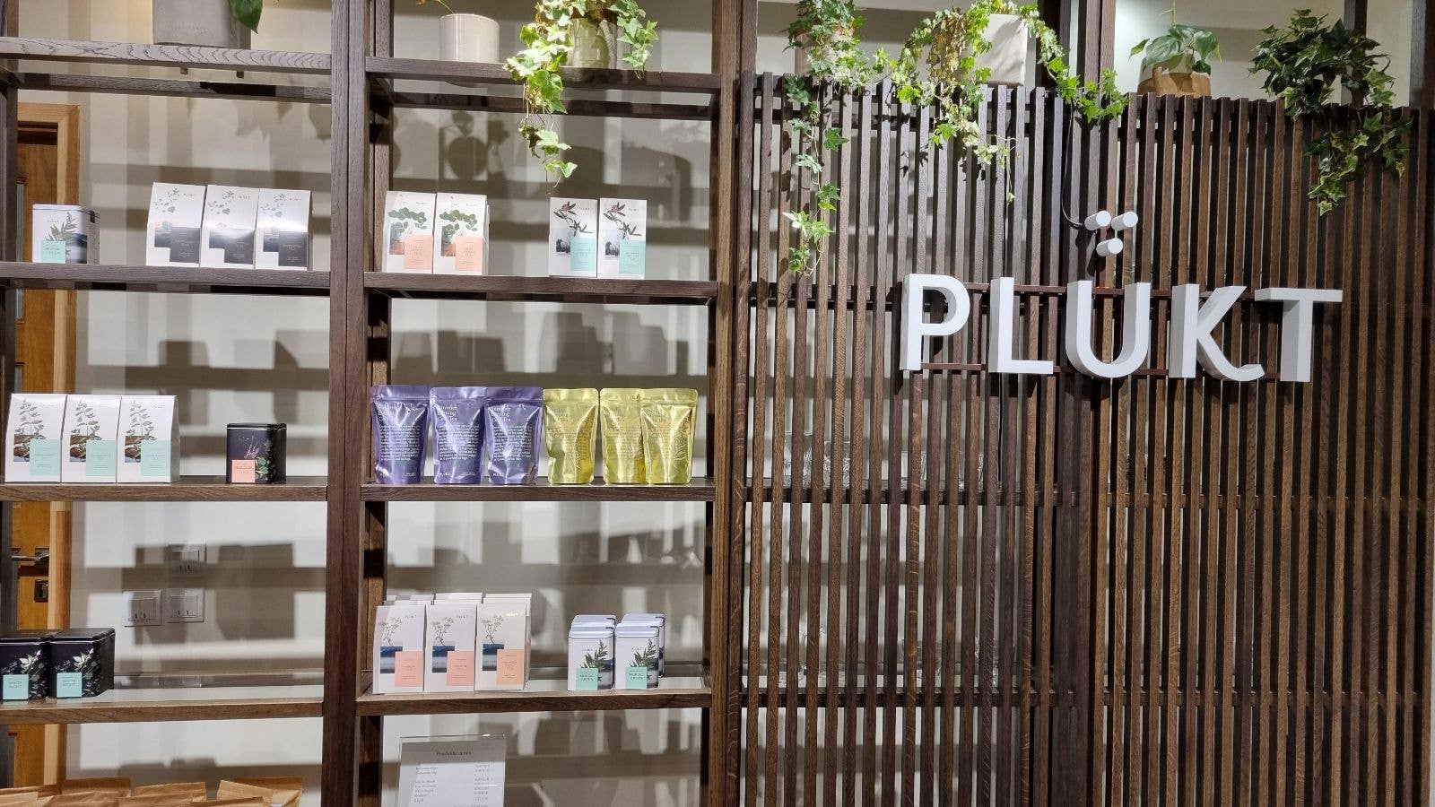 Plūkt - Wholesale Health/Detox Tea - cold brew tea NORDIC MORNING, organic, blueberry7