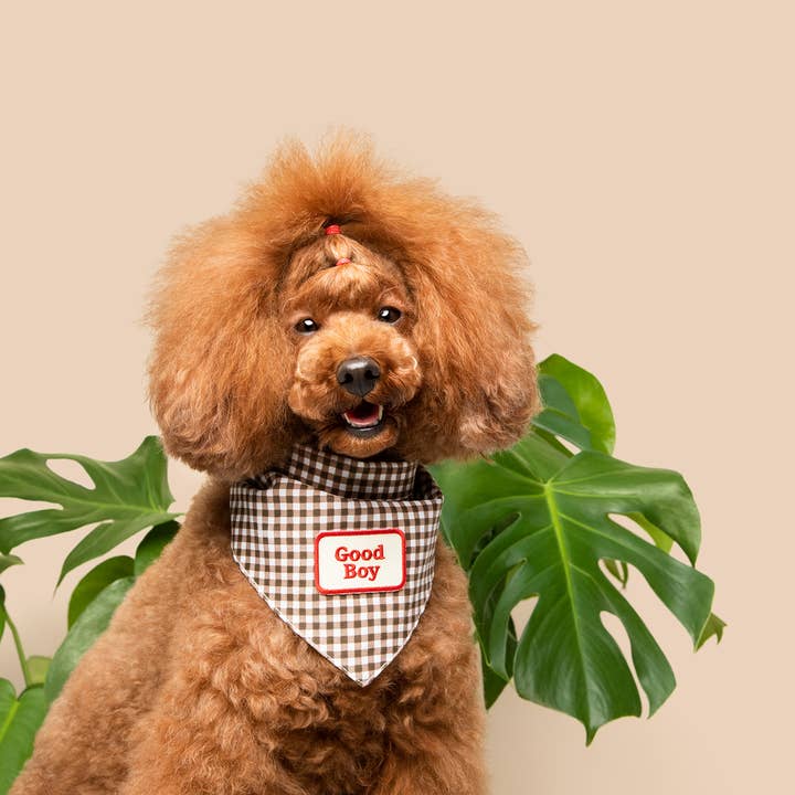 Scout's Honour Pty Ltd - Wholesale Pet Bandana - Dog - Good Boy iron-on patch for dogs and cats5