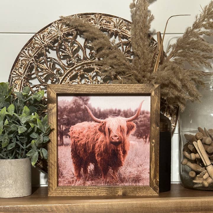Cute Highland cow for wholesale by The Broken Board
