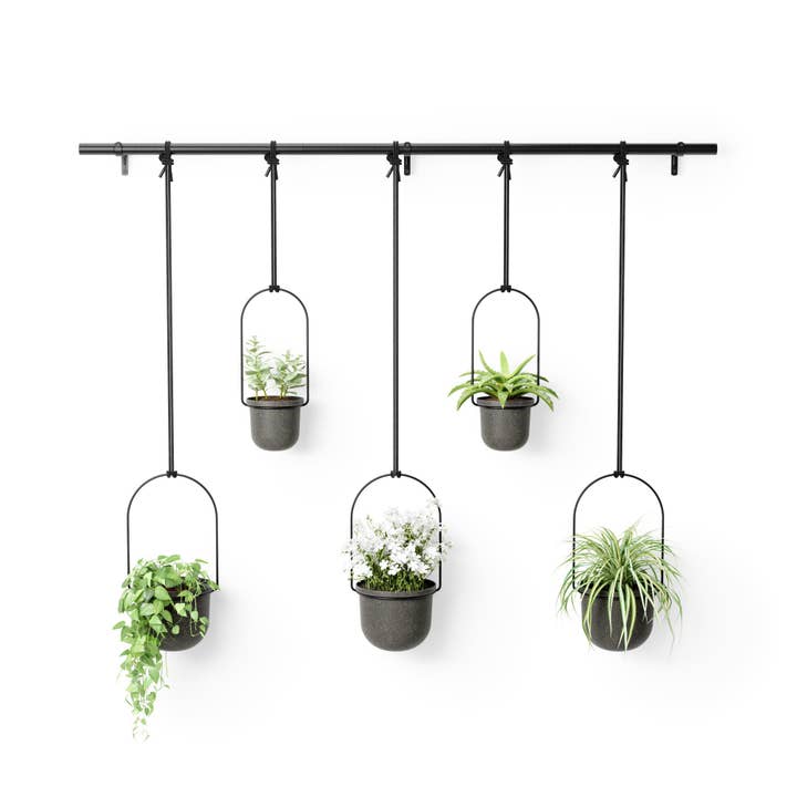 Umbra - Wholesale Hanging Planter - Triflora Hanging Planter Large, Set of 5