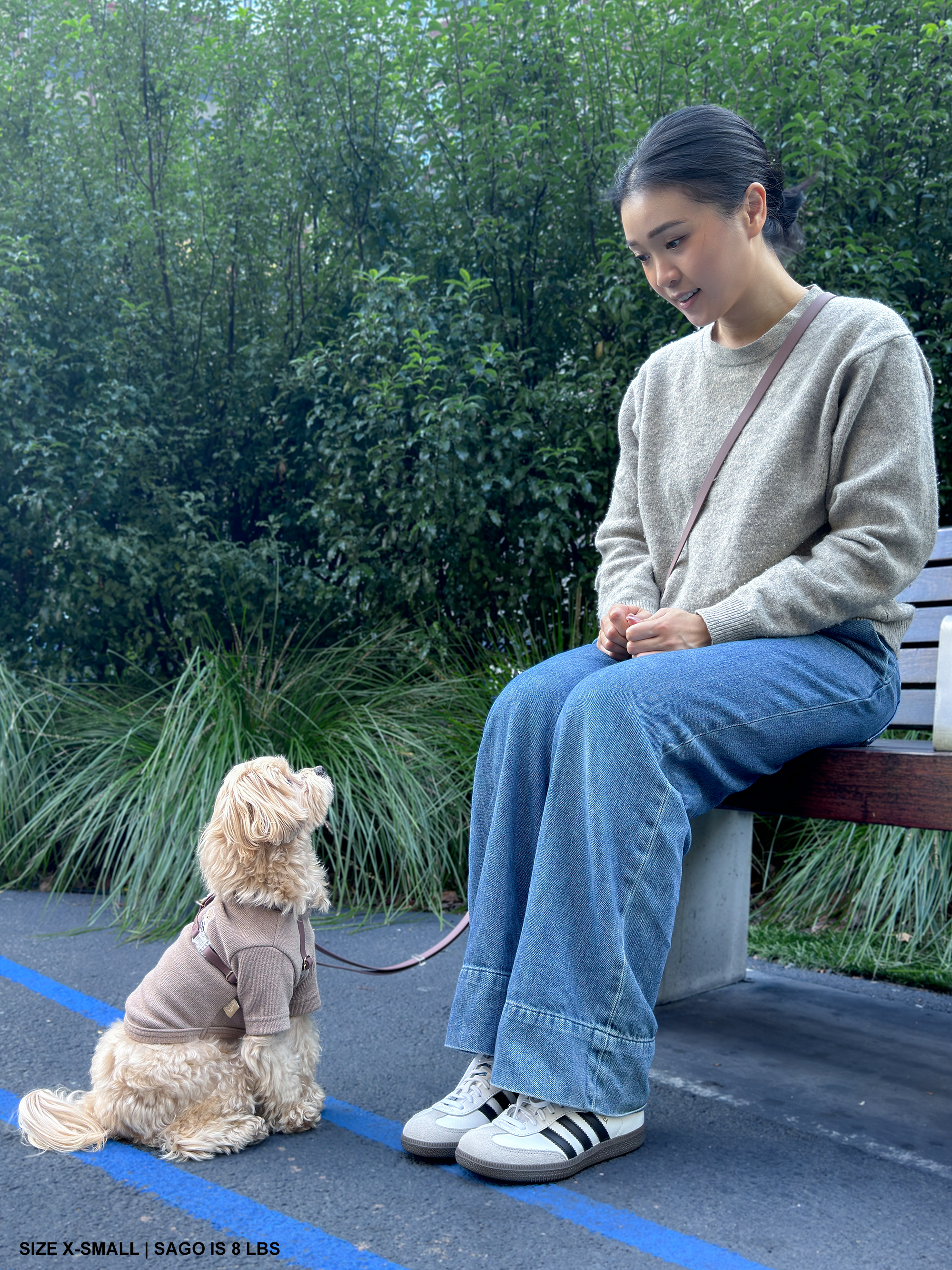 SUNNY TAILS - Vente Harnais – chien - Harnais pour chien Espresso Brown Cloud Lite11