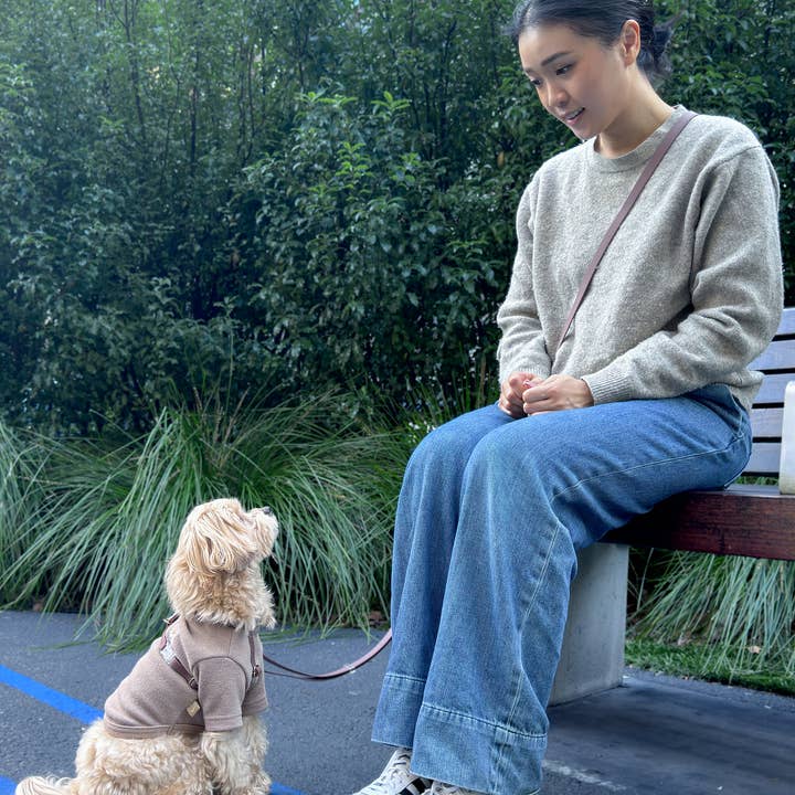 SUNNY TAILS - Vente Harnais – chien - Harnais pour chien Espresso Brown Cloud Lite11