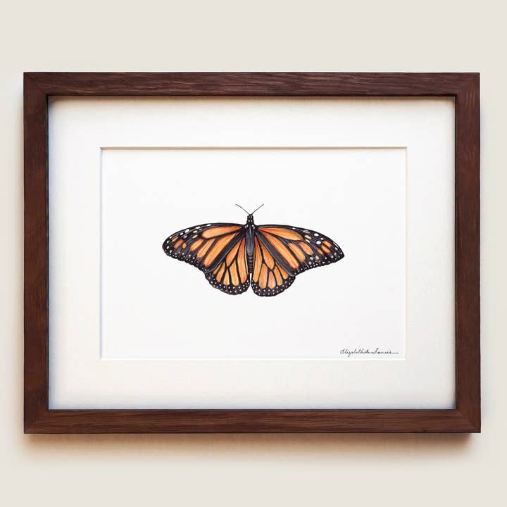 Monarch Butterfly | Fine Art Print for wholesale by ElizabethAnnFrancis
