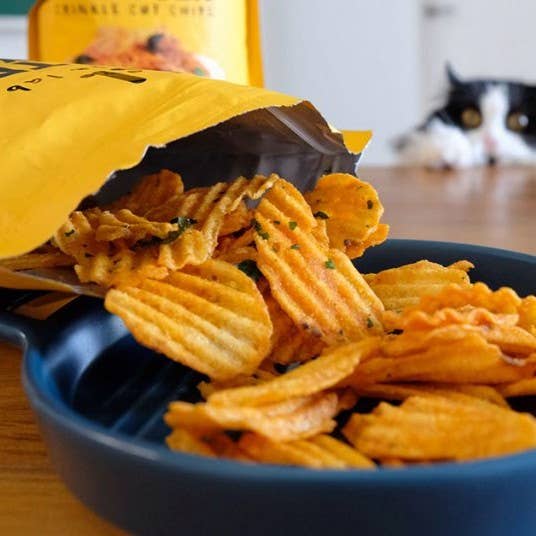 Asian Snacks - Wholesale Chips - KANTIN LAB SALTED EGG CRINKLE-CUT POTATO CHIP - 100g per bag1