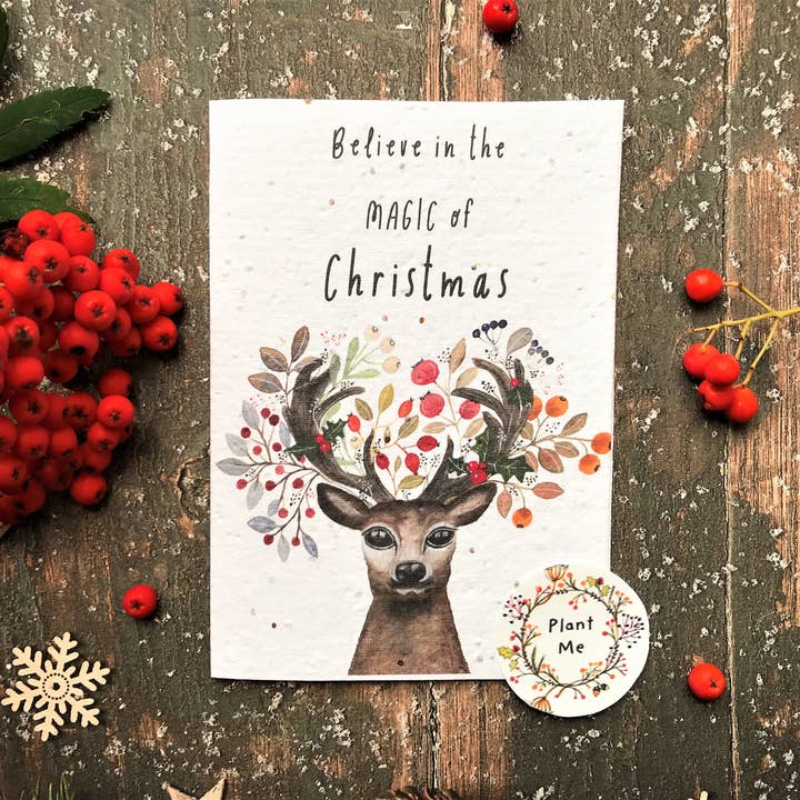 Plantable Seed Christmas Cards, Illustrated Christmas Card for wholesale by Erika's Whimsical Art