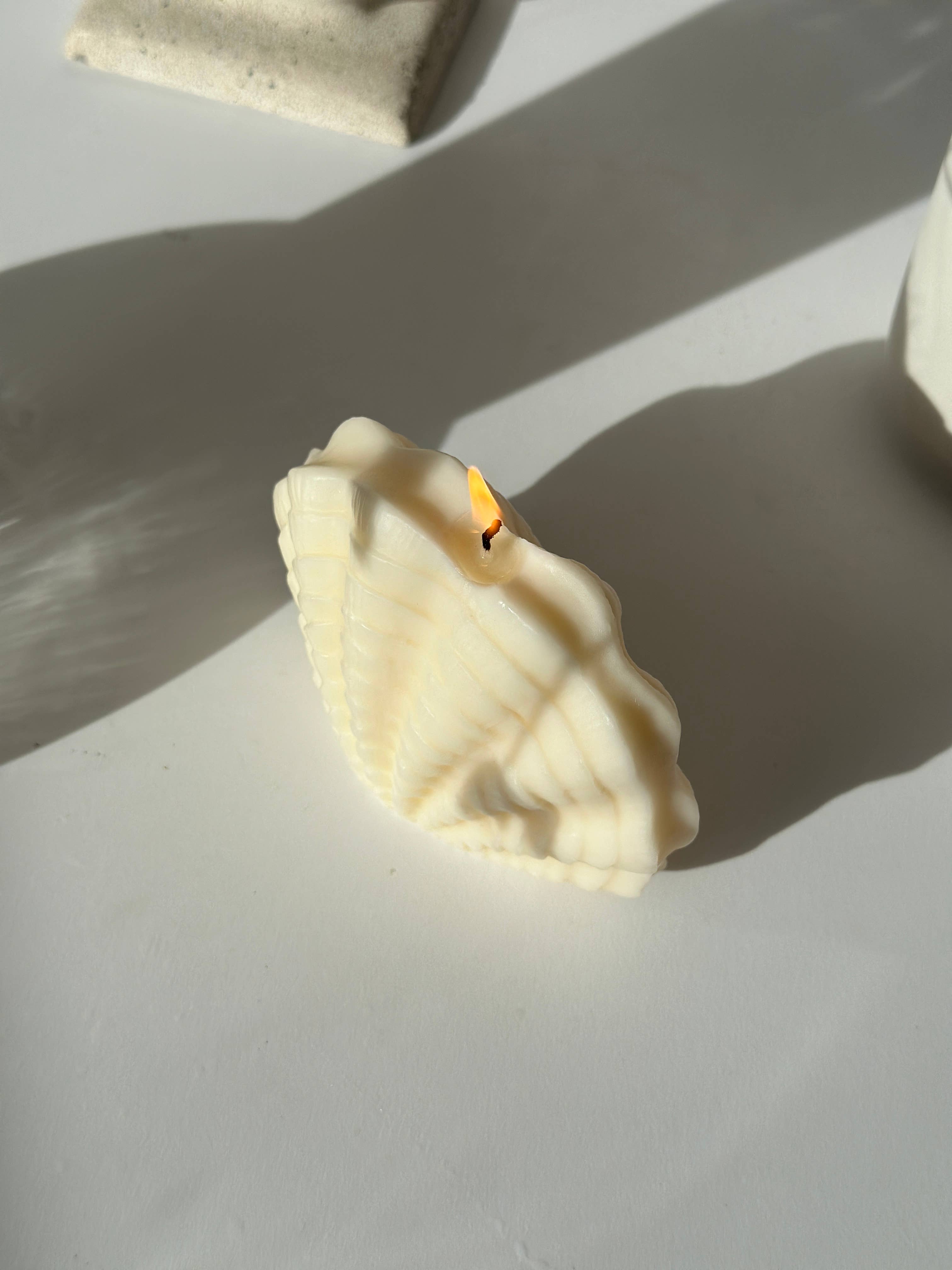 DE LA MUSHKA - Wholesale Novelty Candle - Shell | Summer Decor | Scented Candles | Home Decor | Gifts2