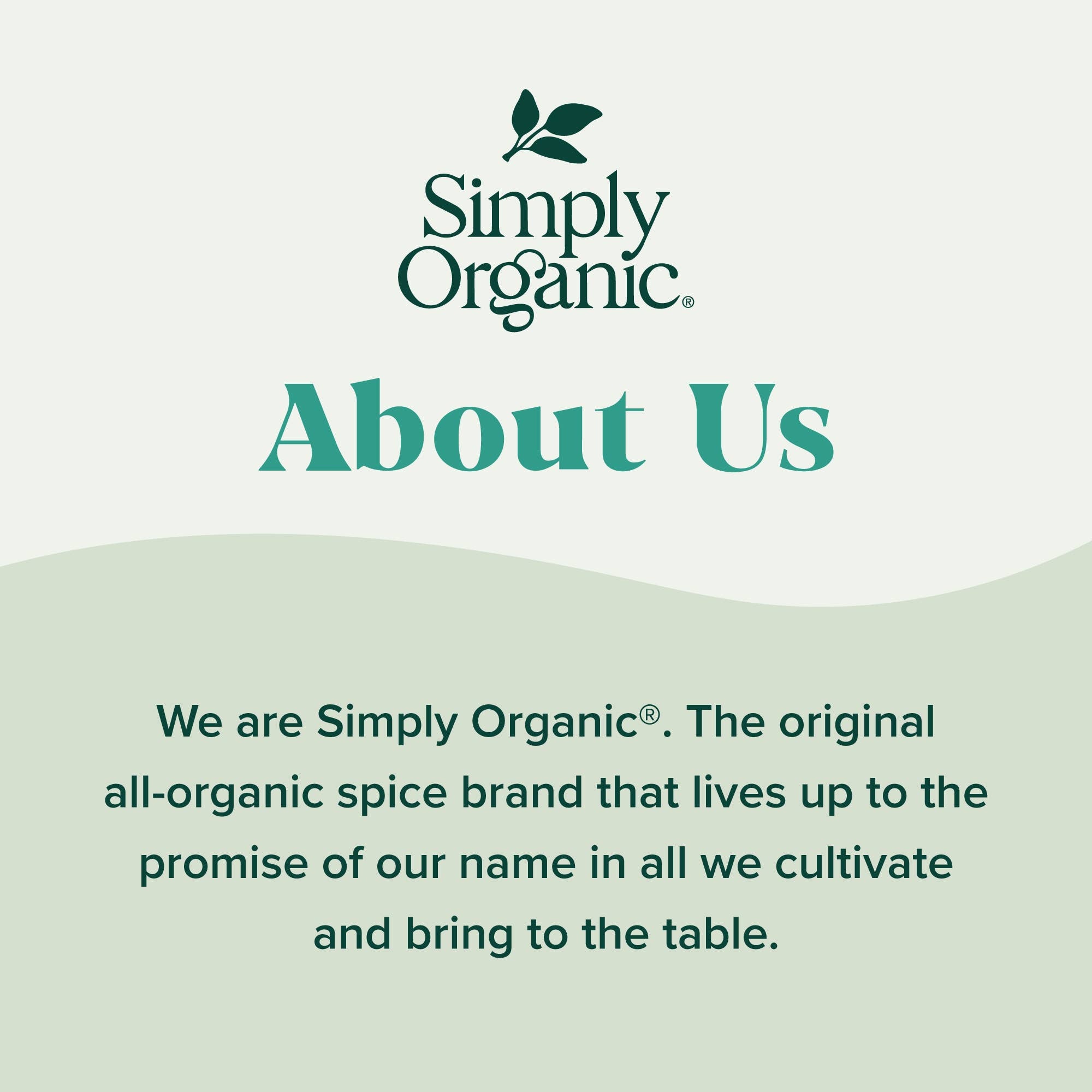 Simply Organic - Wholesale Dried Spice - Simply Organic Cumin Seed, Certified Organic6