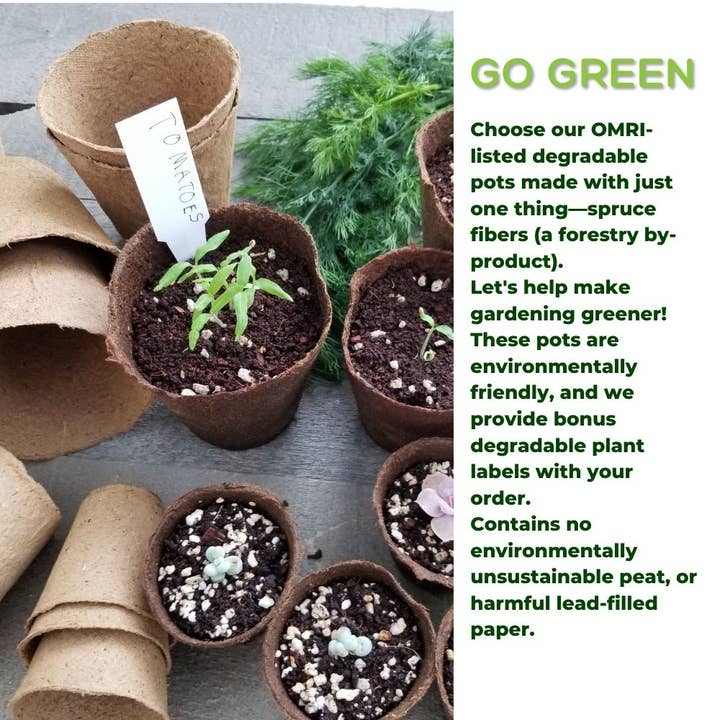 Daniel's Plants - Wholesale Plant Pot - NO DUTIES 4" Naked Pots | Plantable Seed Starter Pots4