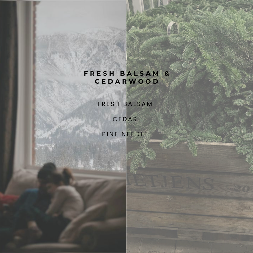 Ironwood Candle Co. - Wholesale Car Freshener - Unisex - CAR DIFFUSER REFILL ONLY4