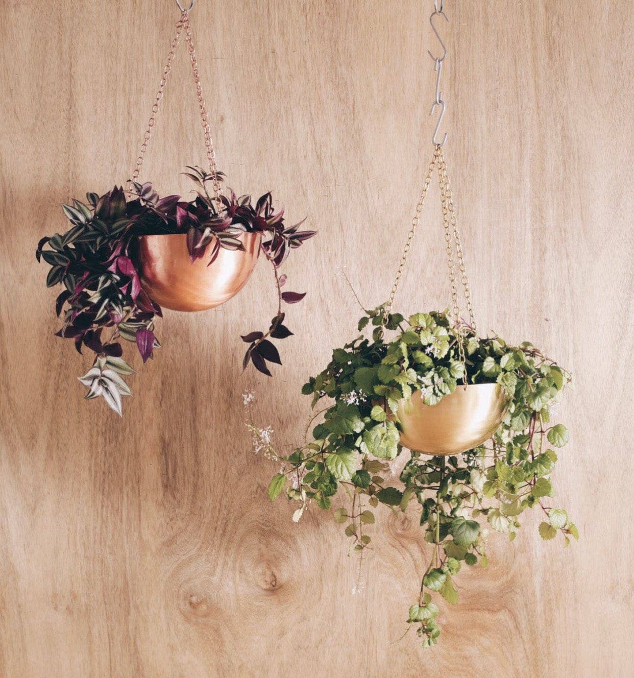 Sawah Botanical – wholesale Hängande kruka – Stor koppar Rose Gold Hängande Planter3